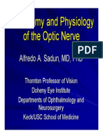 Anatomy and Physiology of The Optic Nerve
