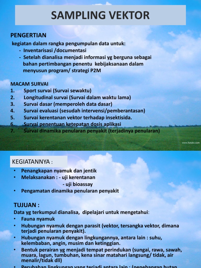 Sampling Vektor | PDF | Sains & Matematika