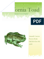 California Toad: Anaxyrus Boreas Halophilus