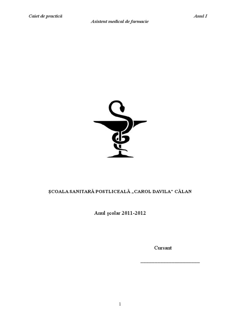 Caiet Practica Anul I