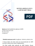 Sinteza Replicativa a ADN-ului Si ARN Viral