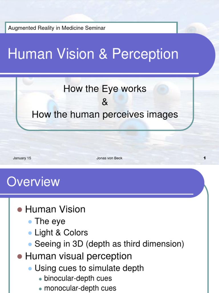 Human Vision & Perception How The Eye Works & How The Human Perceives