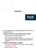 Enzime1