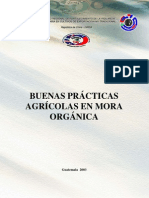 Buenas Practic As Mora Organic A