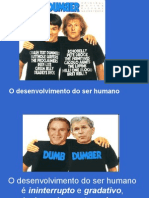 O Desenvolvimento