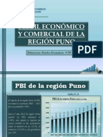 Perfil Economico Region Puno