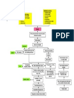 Pathophysiology: Modifiable Risk Factors