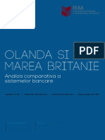 Proiect Moneda Si Credit - Olanda Vs Marea Britanie