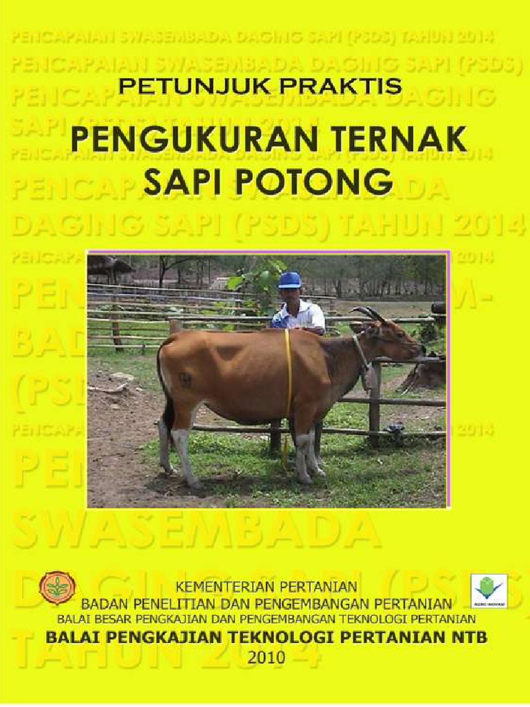 Pengukuran Ternak Sapi Potong | PDF | Kesehatan Holistik
