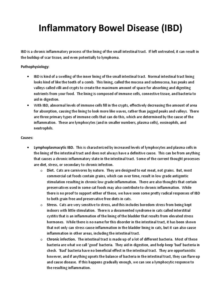 Understanding Inflammatory Bowel Disease in Cats | PDF | Inflammatory ...