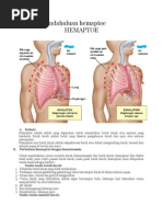 Download Laporan pendahuluan hemaptoedocx by Fitriatuljannah SN251705801 doc pdf