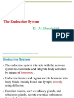 Endrocrine System