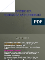 Kuliah Gonorrhea