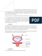 Suprapubic Cystostomy Procedure Overview