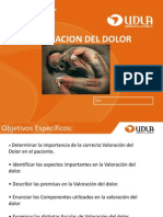 Valoracion Del Dolor Pae 301 (1)