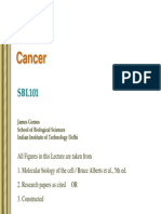 Sbl101 JG Cancer