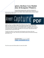 FastStone Capture PDF