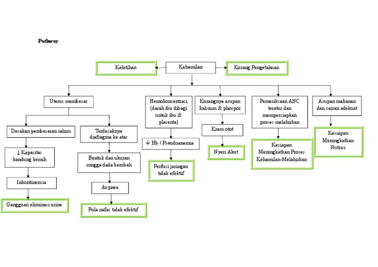 Pathway ANC untuk Kehamilan Normal | PDF