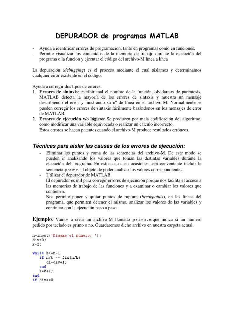 Depurador de Programas Matlab | PDF | Programa de computadora ...