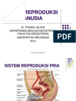 Sistem Reproduksi Pria @ Pras.ppt
