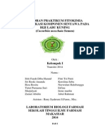 Download Laporan Fitokimia Biji Labu Kuning by rizarosyitayustinianus SN251803196 doc pdf