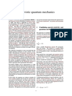 RQM PDF