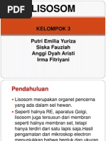 Download LISOSOM by Anggi Dyah Aristi SN251818509 doc pdf