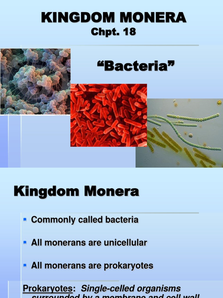 Kingdom Monera | PDF | Archaea | Bacteria