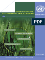 Bioenergía Sostenible. Un Marco Para La Toma de Decisiones_ONU Energía_biocombustible