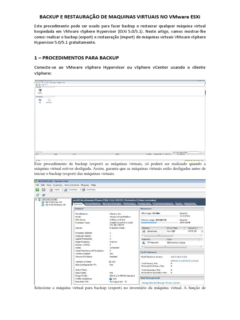 Backup e Restauração no VMware ESXi | PDF | Drive de disco rígido ...