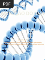 R01 Gabriel Ferreira 22OUT