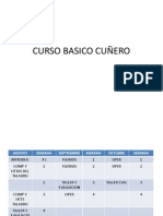 81771577 Curso Basico Cunero