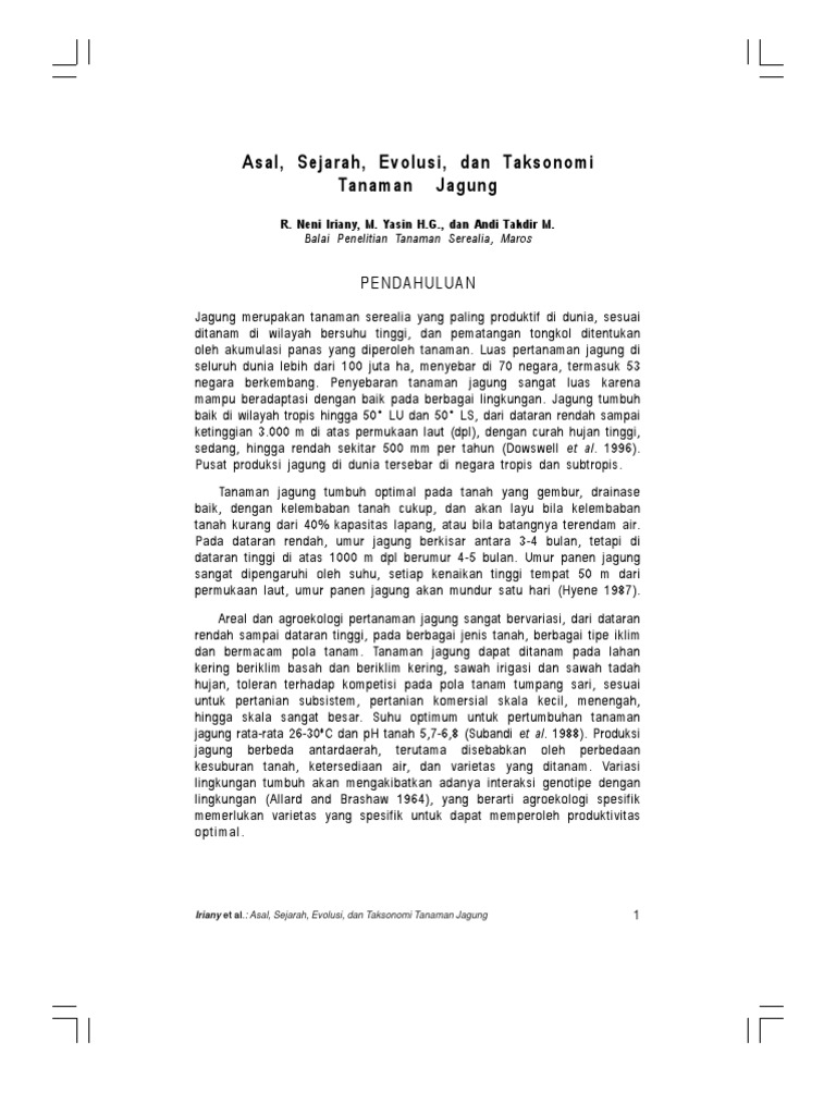 Asal Sejarah Evolusi Dan Taksonomi Tanaman  Jagung 