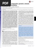 14 PNAS Pan-Vertebrate Genomics..Retrovirus Evolution