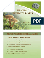 Budidaya Jamur Tiram Sip