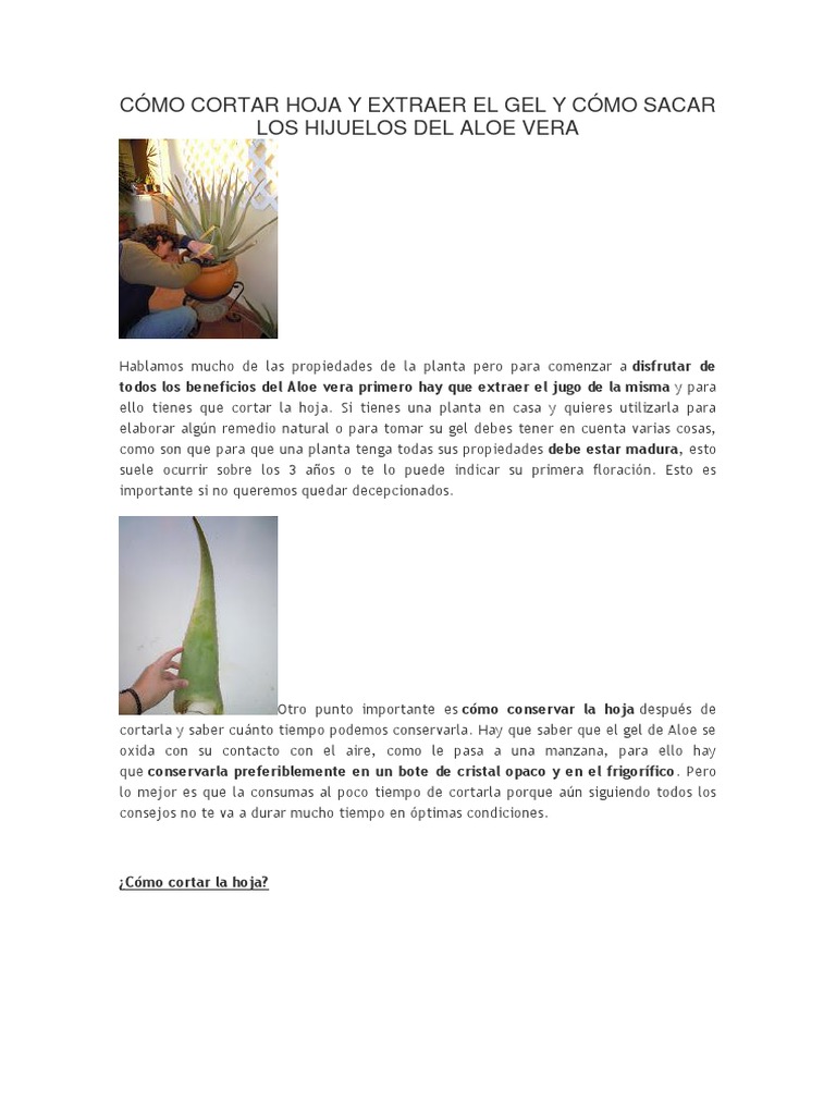 boire de l aloe vera Gel Aloe Vera A Boire 1L main image 1