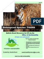 Endangered Species Tigers