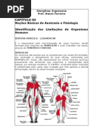 Noções Básicas de Anatomia e Fisiologia
