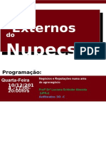 Cartaz Seminário Externo