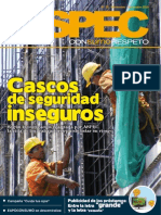 Informe Aspec Dic 2010_1