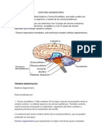 Sistema segmentario del tronco encefálico y médula espinal