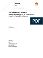 Documento de Sintesis Bricia - 1