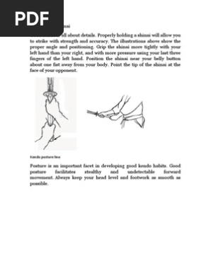 kendo martial art pdf