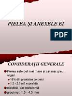 histologie - pielea.pdf