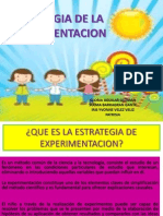 Estrategia de La Experimentacion