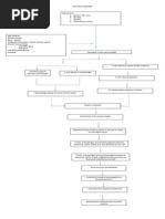 Multiple Sclerosis Patho