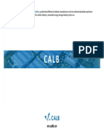 CALB Presentation