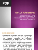RISCOS AMBIENTAIS-ACRESEA