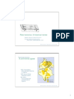 Plate Tectonics-A Historical Review