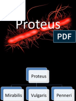 Proteus, Shigella, E Colii